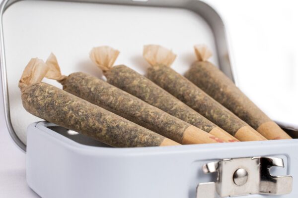 pre-rolls-10-premium-blunts - Image 4