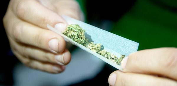 Buy Marijuana 1g Fatboy Pre-Roll - Image 2