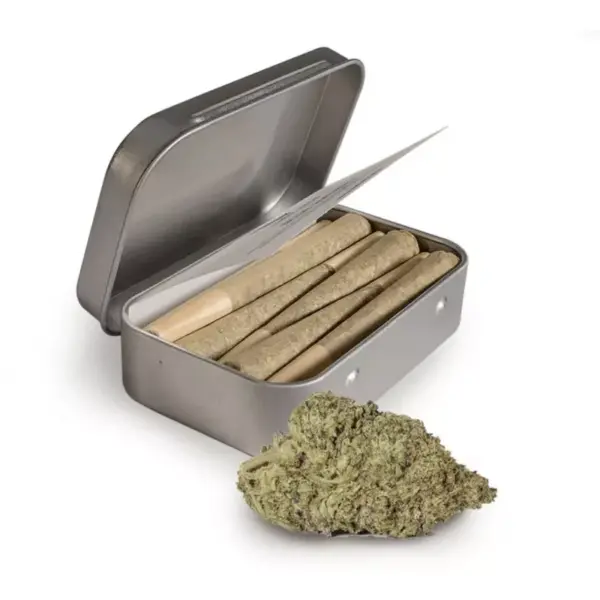 pre-rolls-10-premium-blunts - Image 2