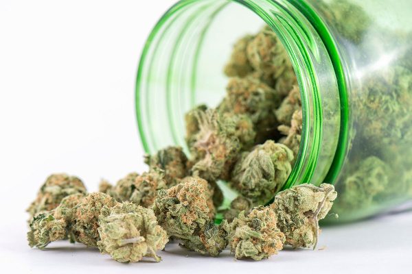 Where Does the Bible Talk About Weed?
