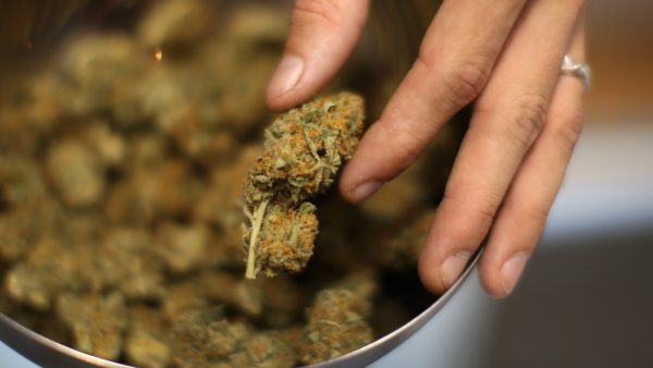 5-effect-pre-roll-variety-pack - Image 2