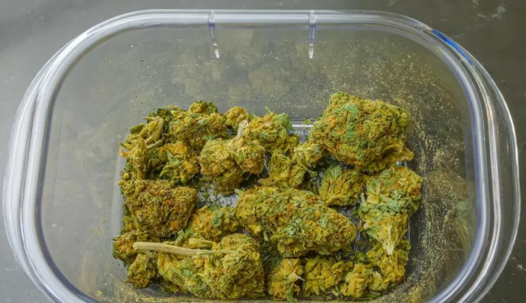 Can You Smoke Weed in Ajman, United Arab Emirates
