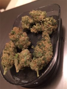 godberry__primary_691f-1729241750.3952