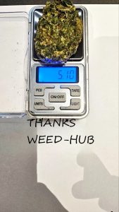 weed-hubsample