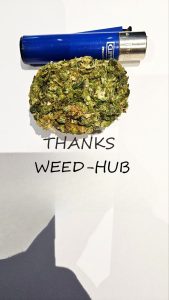 weed-hubsample2